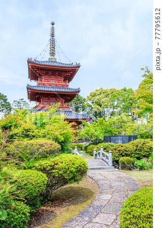 豊前国分寺 三重塔 福岡県京都郡 豊前国分寺 三重塔 福岡県京都郡 77795612