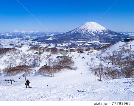 快晴のスキー場から斜面と羊蹄山を眺める (ニセコ、北海道) 77795966
