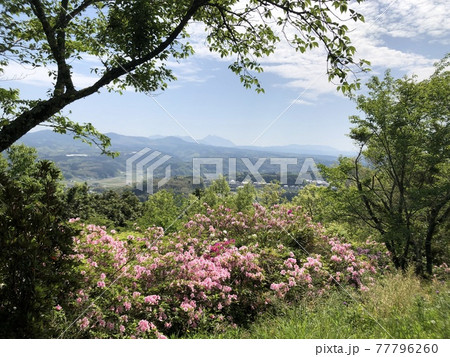 由布山 高原 由布山 高原 77796260