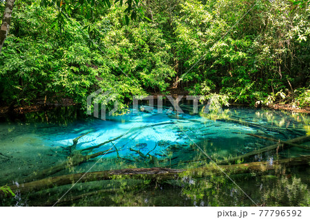 Blue Pool, turquoise crystal clear spring in middle of forest, Krabi, Thailand 77796592