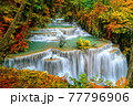 Colorful majestic waterfall in national park forest during autumn - Image 77796906