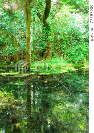 熊本県産山村 山吹水源 熊本県産山村 山吹水源 77797000