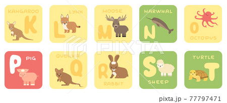 Cute vector K-T zoo alphabet isolated education cards with cartoon animals. Kangaroo, lynx, moose, narwhal, octopus, pig, quokka, rabbit, sheep, turtle, flat style 77797471