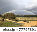 田舎の虹 77797891