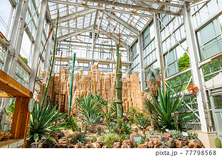東山植物園 温室後館の植物 愛知県名古屋市 の写真素材