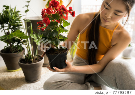 Girl preparing soil for plants while spending time with her flowers at home Girl preparing soil for plants while spending time with her flowers at home 77798597