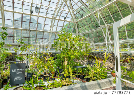 東山植物園にある日本最古の公共温室、温室前館〈愛知県名古屋市〉 77798773