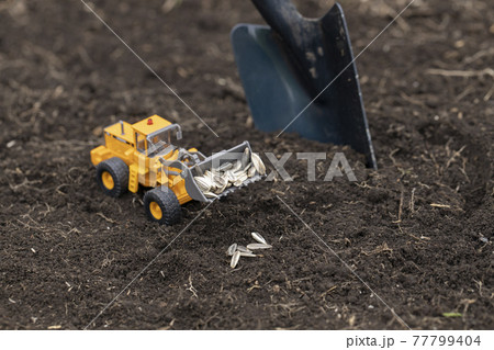 ヒマワリの種を撒くホイールローダー 77799404