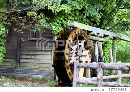 片倉城址公園 片倉城址公園 77799498