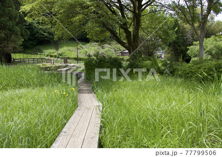 片倉城址公園 片倉城址公園 77799506