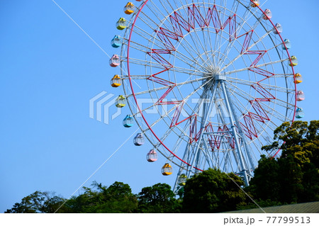 観覧車　浜名湖パルパル 77799513