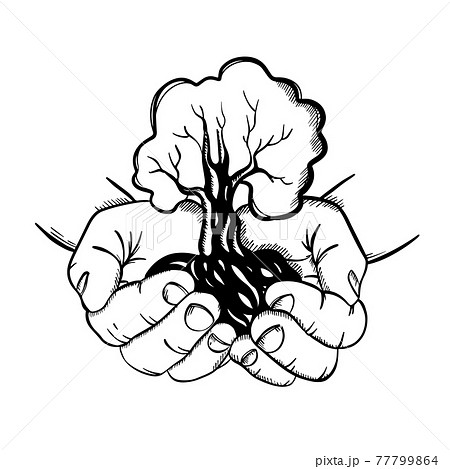 HANDS HOLDING TREE Human Palms With Symbol Of New Life And Growth In The Form Of Growing Plant In Sketch Style Monochrome Clip Art Vector Illustration Set For Print 77799864