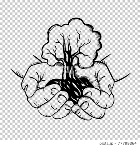 HANDS HOLDING TREE Human Palms With Symbol Of New Life And Growth In The Form Of Growing Plant In Sketch Style Monochrome Clip Art Vector Illustration Set For Print 77799864