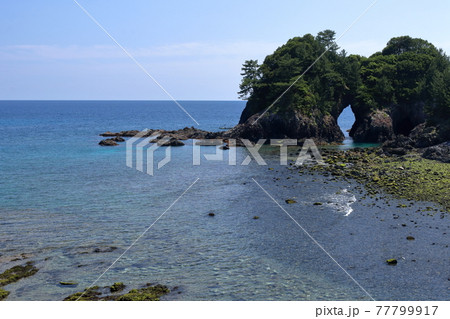 樫西海岸 海蝕洞が特徴的な弁天島（高知県　大月町）	 77799917