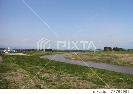 宮城県大崎市 春の鳴瀬川 宮城県大崎市 春の鳴瀬川 77799995