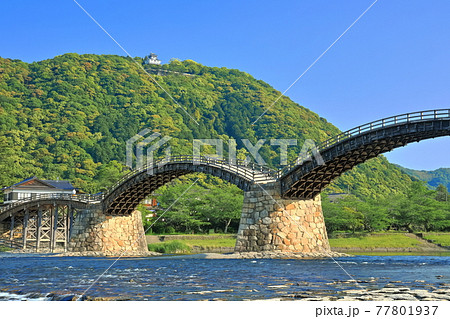 【山口県】新緑の錦帯橋と岩国城 77801937