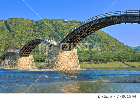 【山口県】新緑の錦帯橋と岩国城 77801944