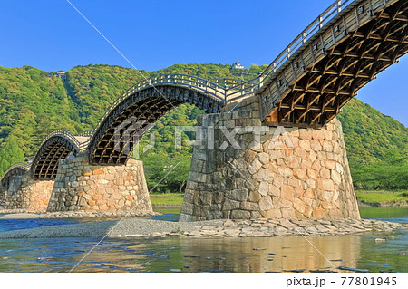 【山口県】新緑の錦帯橋と岩国城 77801945