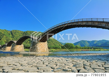 【山口県】新緑の錦帯橋と岩国城 77801955