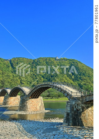 【山口県】新緑の錦帯橋と岩国城 77801961