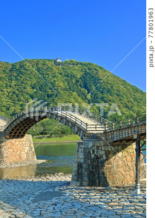 【山口県】新緑の錦帯橋と岩国城 【山口県】新緑の錦帯橋と岩国城 77801963