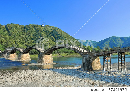 【山口県】新緑の錦帯橋と岩国城 【山口県】新緑の錦帯橋と岩国城 77801976