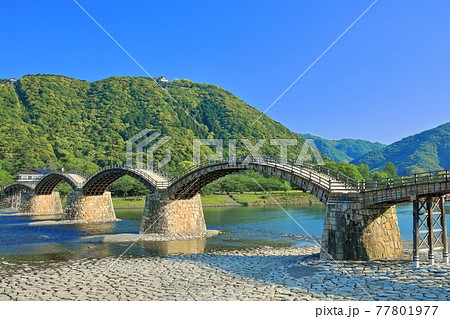 【山口県】新緑の錦帯橋と岩国城 【山口県】新緑の錦帯橋と岩国城 77801977