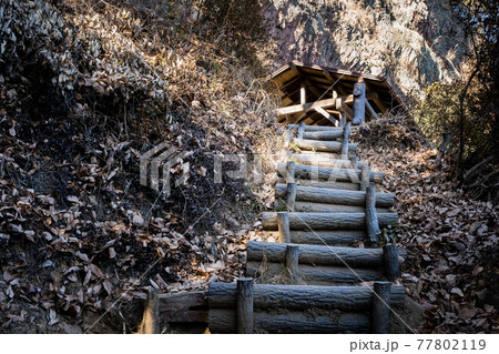 栃木百名山 大小山 登山ルートの風景 (見晴台付近)栃木県足利市 冬 栃木百名山 大小山 登山ルートの風景 (見晴台付近)栃木県足利市 冬 77802119