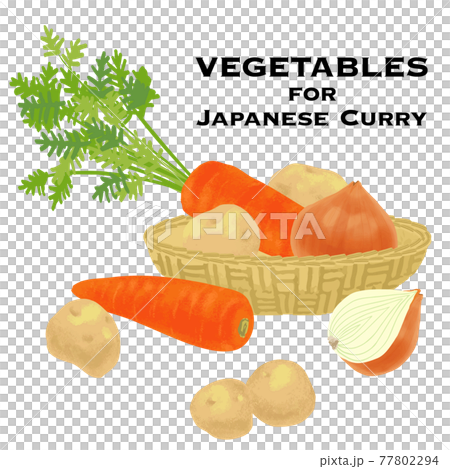 日本で人気のカレー野菜 じゃがいも 人参 玉ねぎ のイメージイラスト のイラスト素材