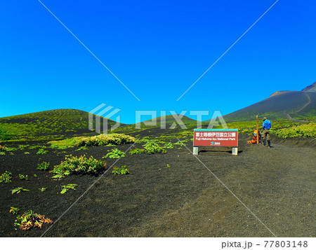 御殿場ルートから見る富士山 77803148