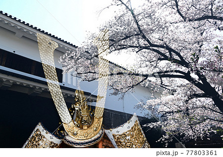 城門の桜と兜 77803361