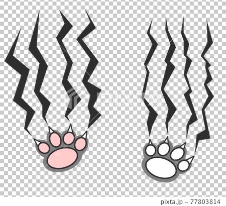 爪で傷を付ける動物のイラスト 77803814