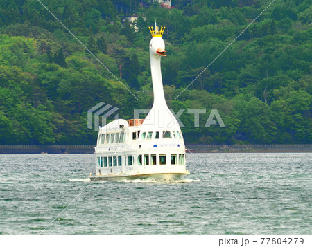 山中湖の白鳥遊覧船 山中湖の白鳥遊覧船 77804279