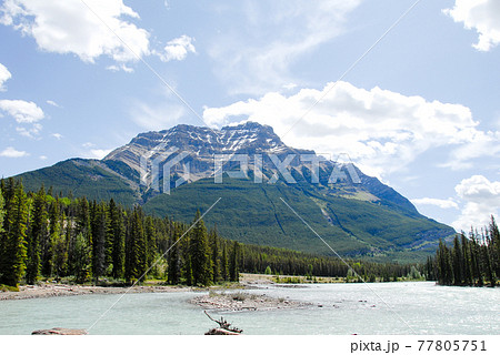 春のカナディアン・ロッキー　アサバスカ川と山並み（カナダ） 77805751