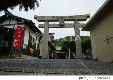 高島 高島 77805884