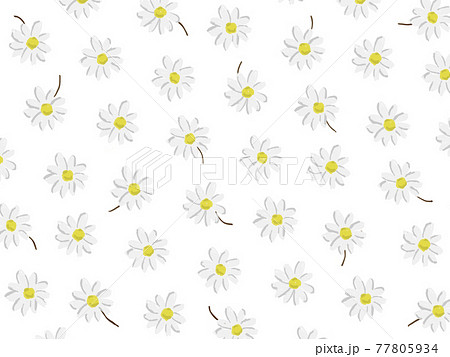 花やデイジーの白色手書きイラストパータン背景のイラスト素材