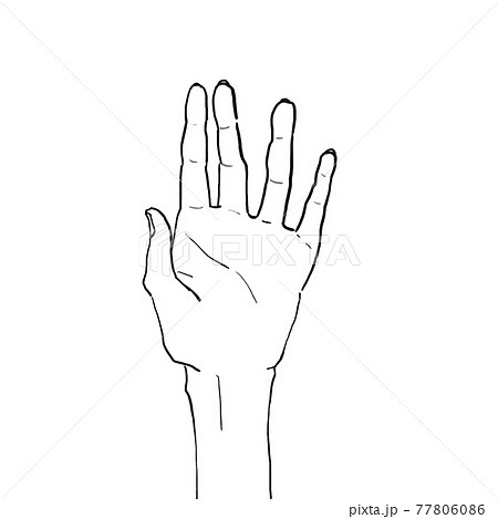 白背景に広げた手 77806086