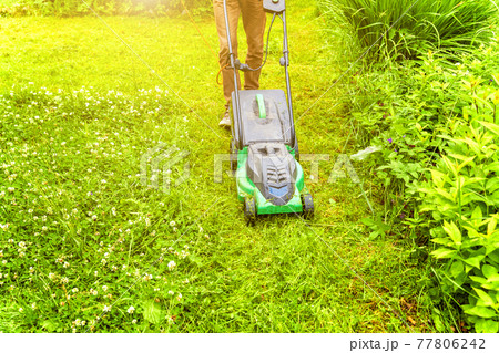 Man cutting green grass with lawn mower in backyard. Gardening country lifestyle background. Beautiful view on fresh green grass lawn in sunlight, garden landscape in spring or summer season. 77806242