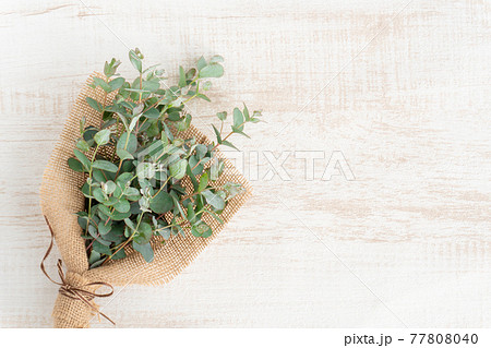 ユーカリのミニブーケ ユーカリのミニブーケ 77808040