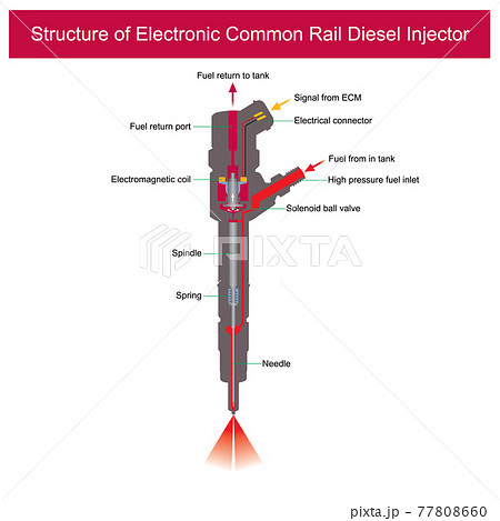 Structure of Electronic Common Rail Diesel Injector. Illustration explain a parts inside of electronic common rail diesel injector.. 77808660
