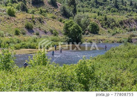 Fly Fishermen on the river 77808755