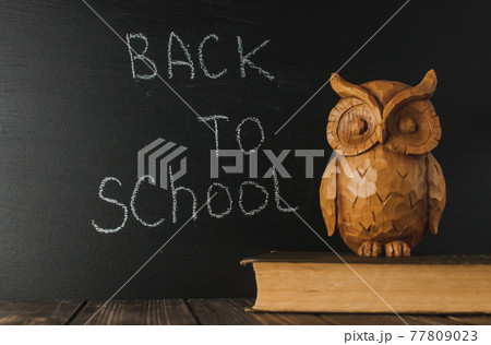 Back to school, the concept of parenting. The inscription on the blackboard with white chalk, next is the owl on the book. Place for text. Copy space. 77809023