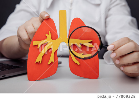 The doctor shows through a magnifying glass on a lung 77809228