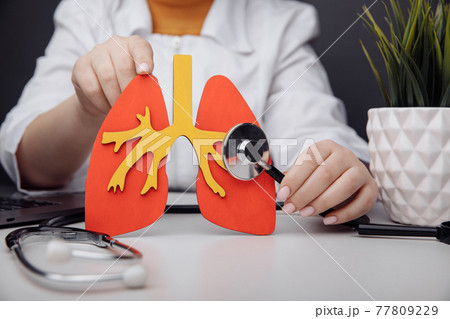 A doctor is touching a lung model with a stethoscope at office 77809229