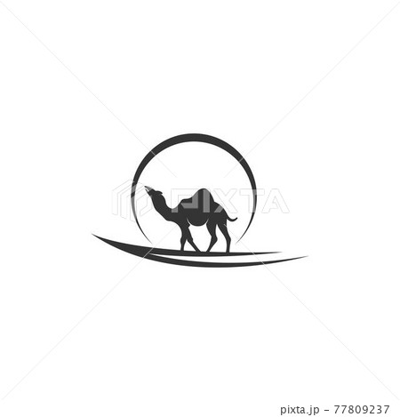 Camel logo icon flat design vector template 77809237