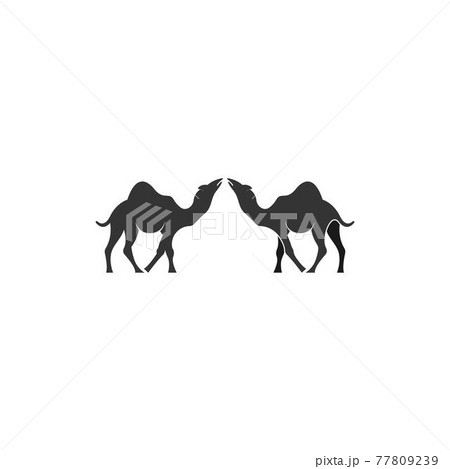 Camel logo icon flat design vector template 77809239