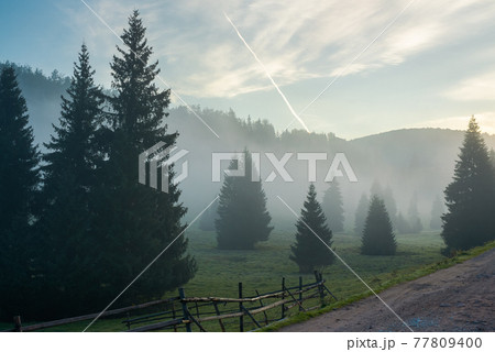 rural valley on foggy sunrise. wonderful nature scenery of forested apuseni mountains, romania. wonderful weather with glowing clouds on the sky 77809400