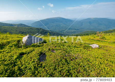 carpathian mountain landscape on bright forenoon. stunning view in to the distance in morning light 77809403