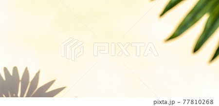 Flowers shadow summer background. Plant leaf shadows on white wall in abstract tropical sunlight texture. Empty palm shadow yellow color texture pattern. Flowers shadow summer background. Plant leaf shadows on white wall in abstract tropical sunlight texture. Empty palm shadow yellow color texture pattern. 77810268