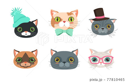 Different Cat Muzzle and Heads with Whiskers Vector Set 77810465